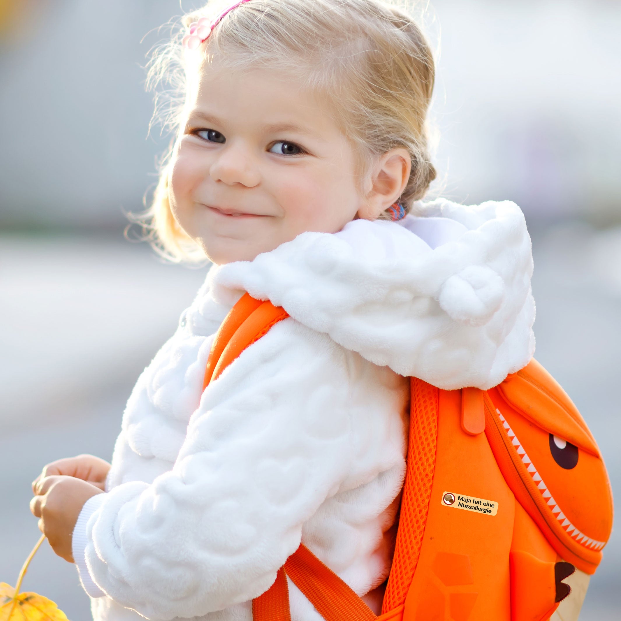 Namensaufkleber für Kinder "verschiedene Allergie & Unverträglichkeiten" (140 Aufkleber)